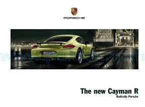 Porsche Cayman R 201...