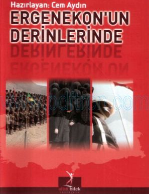 Cover of Cem Aydin Ergenekon un Derinliklerinde.pdf