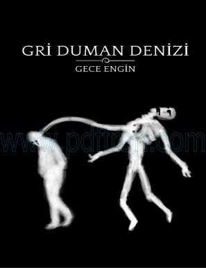 Cover of Gece Engin Gri Duman Denizi.pdf