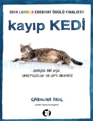 Cover of Caroline Paul Kayip Kedi.pdf