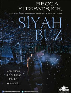 Cover of Becca Fitzpatrick Siyah Buz.pdf