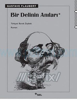 Cover of Gustave Flaubert Bir Delinin Anilari.pdf