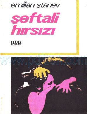 Cover of Emilian Stanev seftali Hırsızi.pdf