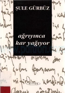 Cover of Şule Gürbüz - Ağrıyınca Kar Yağıyor.Pdf