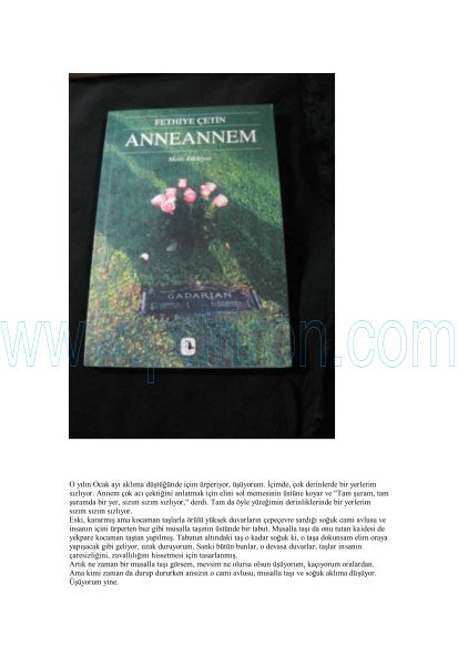 Cover of Fethiye Cetin - Anneannem.pdf