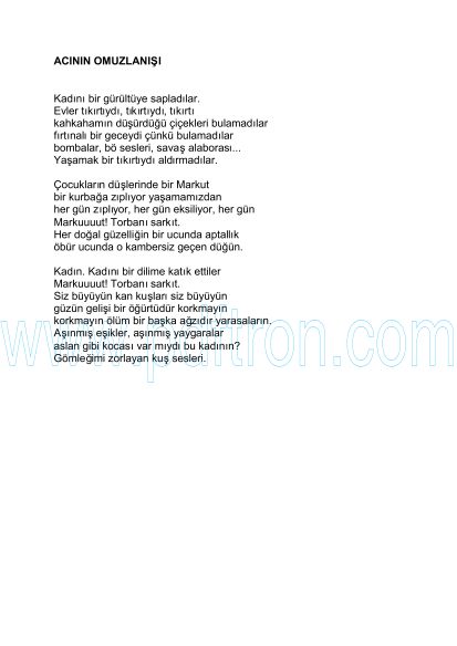 Cover of Ismet_Ozel_ Seçme Şiirler.pdf