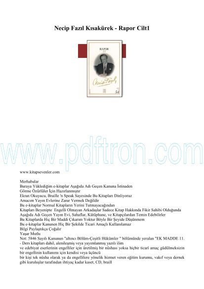 Cover of Necip Fazil Kısakürek - Rapor Cilt1.pdf