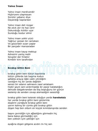 Cover of Louis Aragon - Şiir Kitabı.pdf