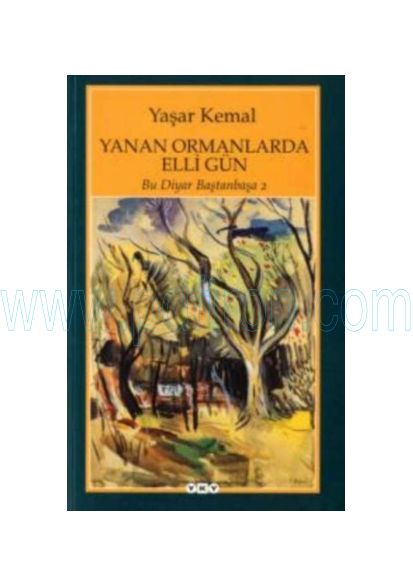 Cover of Yaşar Kemal - Bu Diyar Bastan Basa 2.pdf