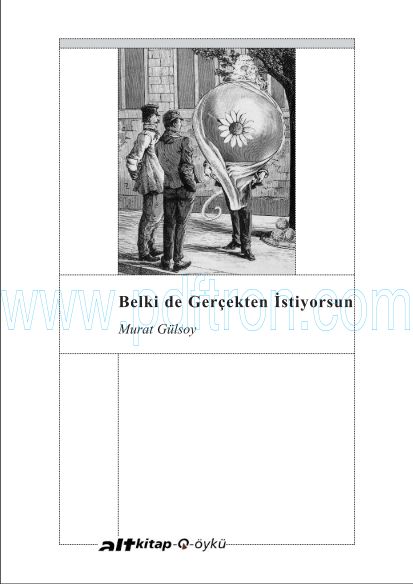 Cover of Murat Gulsoy - Belki De Gercekten Istiyorsun.pdf