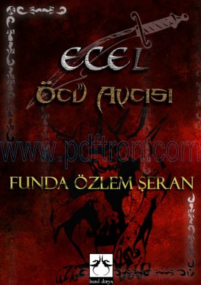 Cover of Funda Ozlem Seran - Ecel.pdf