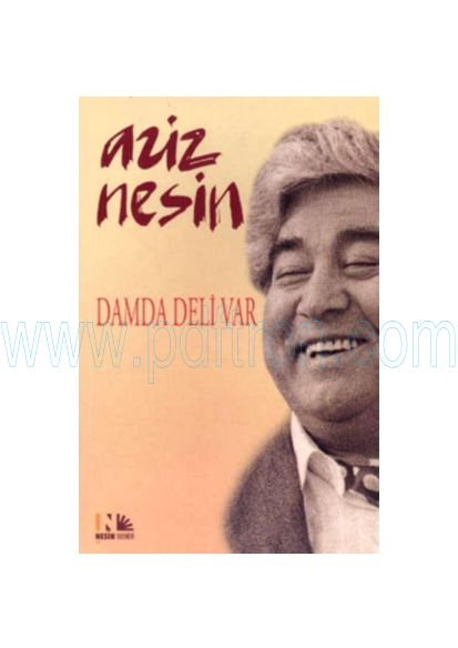 Cover of Aziz Nesin - Damda Deli Var.pdf