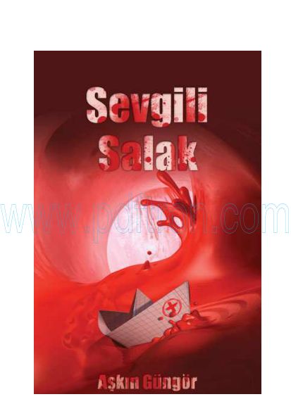 Cover of Askin Gungor - Sevgili Salak.pdf